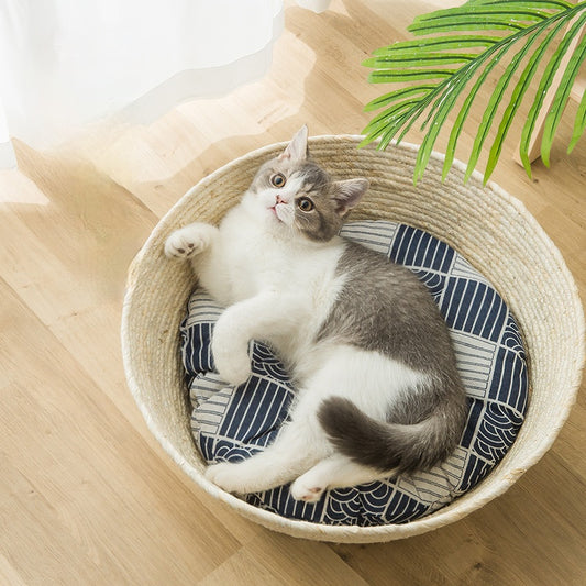 Cute cat on cushion in woven basket