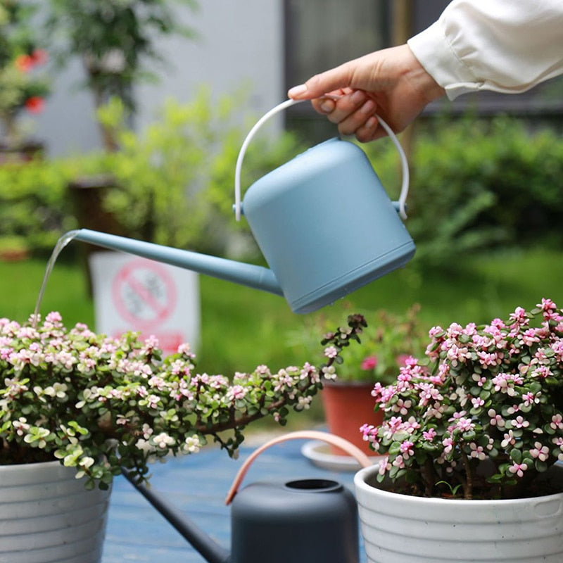 Watering cans in use in the garden