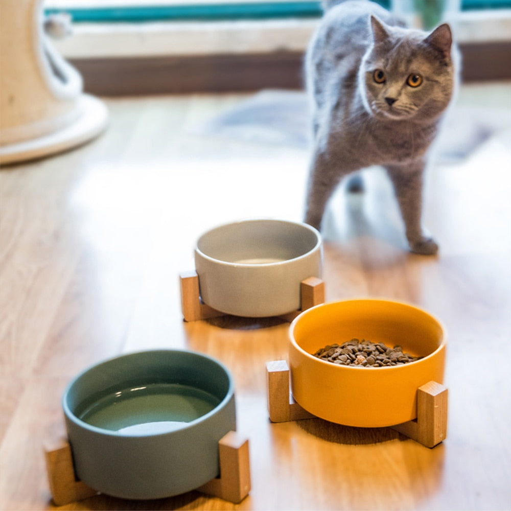 Yellow grey green ceramic pet bowls bamboo stands with cat