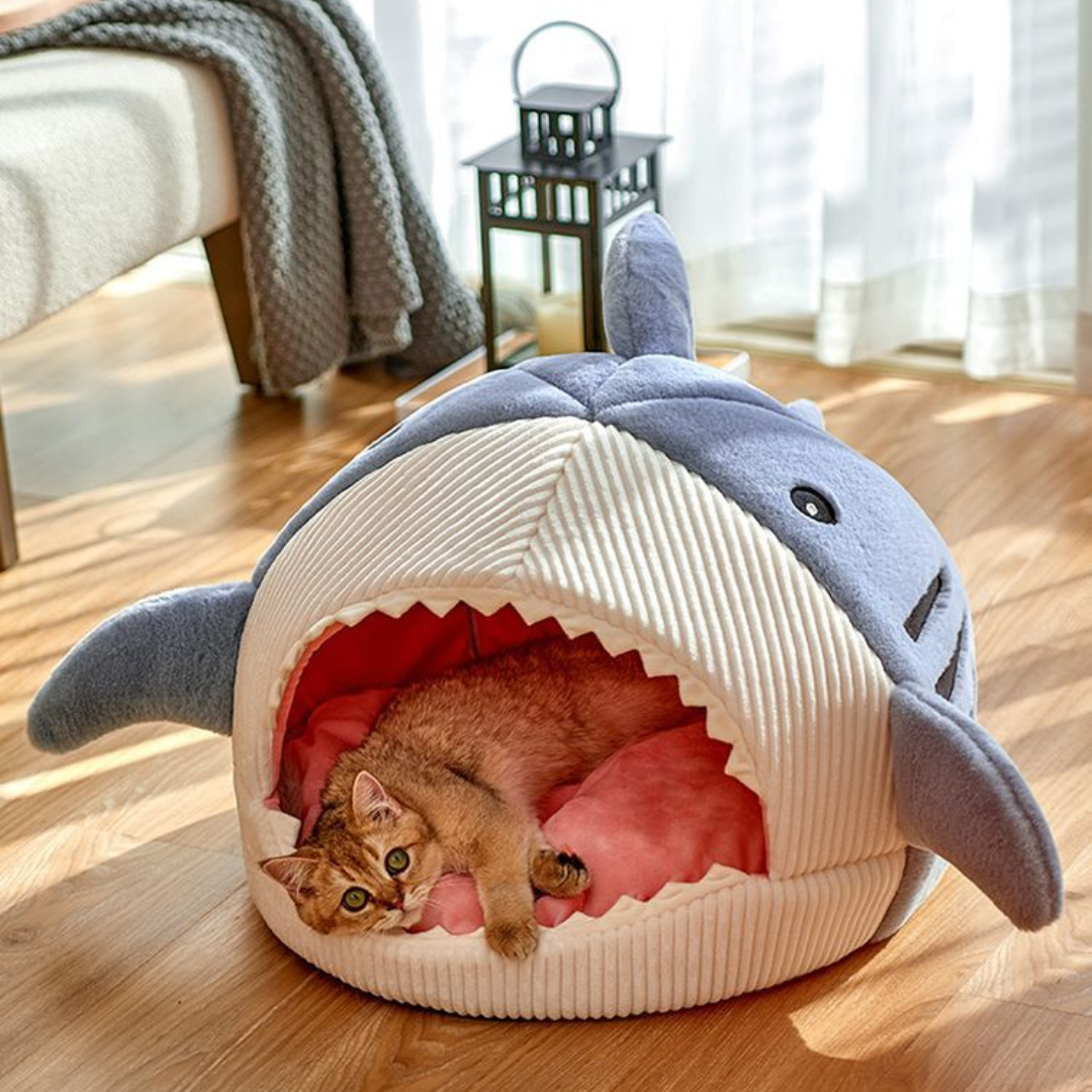 Pet cat dog bed, shark, 2 colours