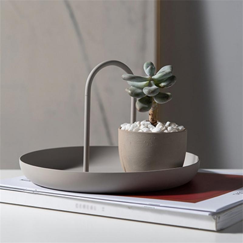 Modern off-white tray with handle with small plant and sitting on books