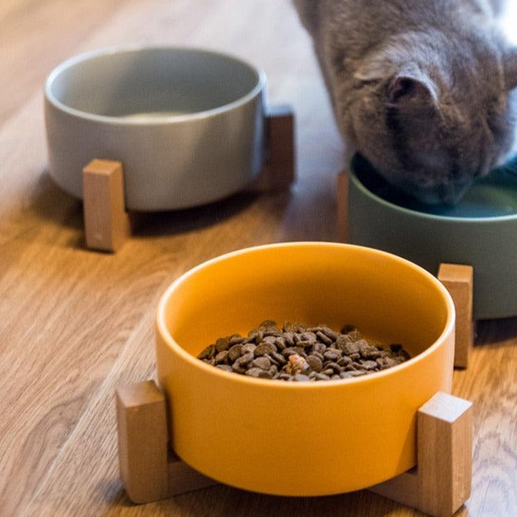 Yellow grey green ceramic pet bowls bamboo stands with cat